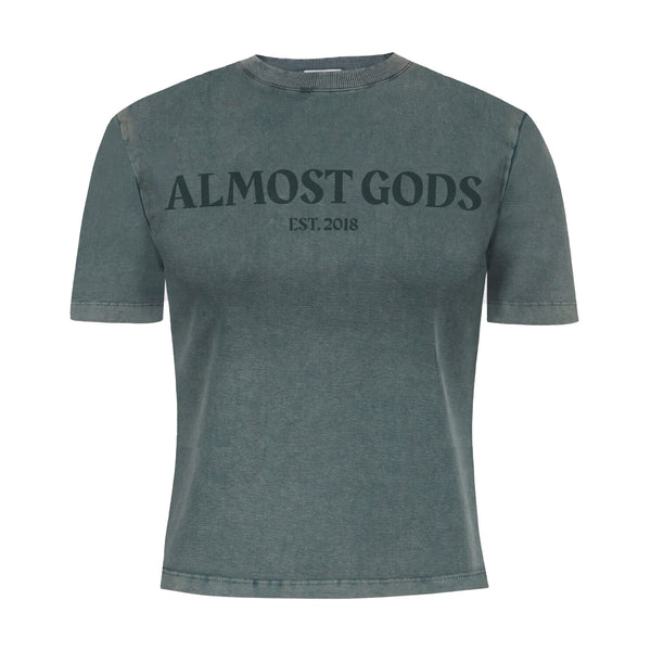 WOMEN'S STONEWASHED TEE (GRANITE)