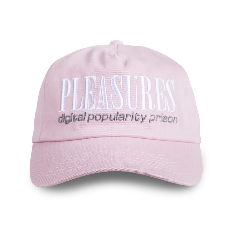 DIGITAL SNAPBACK (MAUVE)