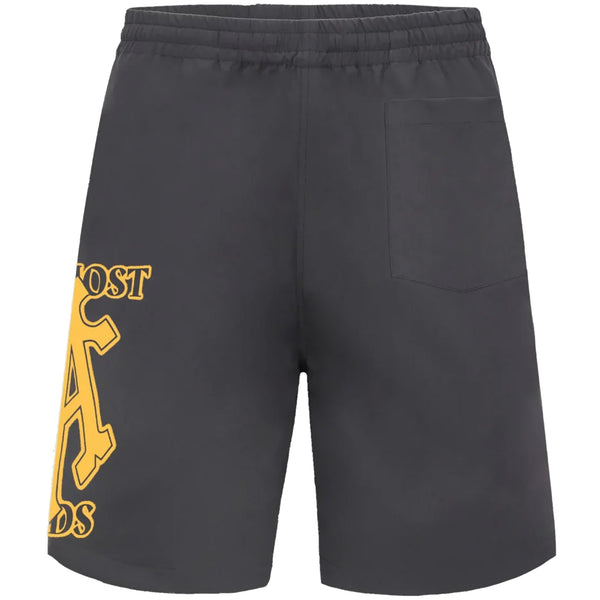 ALPHA CROSS SPRAY PAINT SHORTS (GREY)