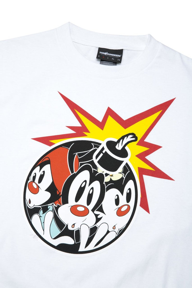 THE HUNDREDS X ANIMANIACS ANIADAM BOMB T-SHIRT