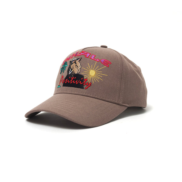 INHALE POSITIVITY CAP BROWN